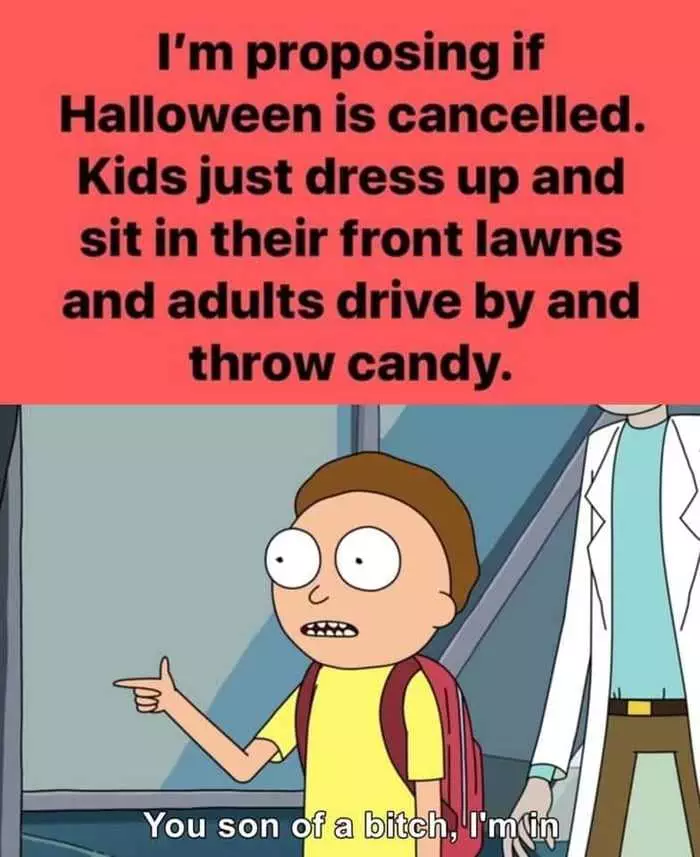 2020 Halloween Memes 7  Throw Candy