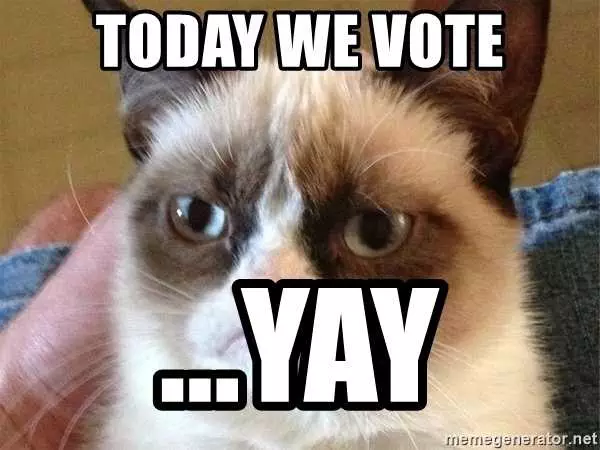 Meme-Today-We-Vote Voting Memes 2020 Grumpy Cat