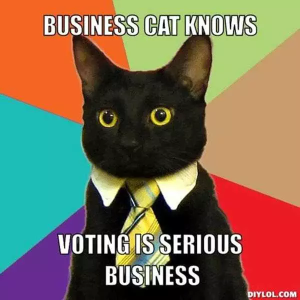 Meme-Voting-Business-Cat Voting Memes Business Cat