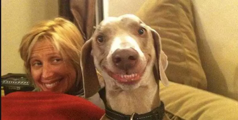 Smiling-Dog-Same-Smile-As-Owner Smiling Dog Like Owner Like Dog Smile