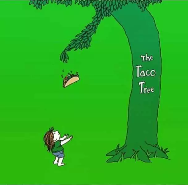 Hilarious Taco Memes  Taco Tree