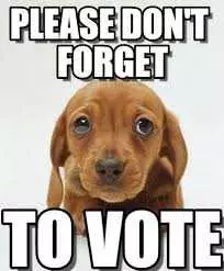 Funny Voting Memes Puppy  How Can You Resist Them Puppy Eyes