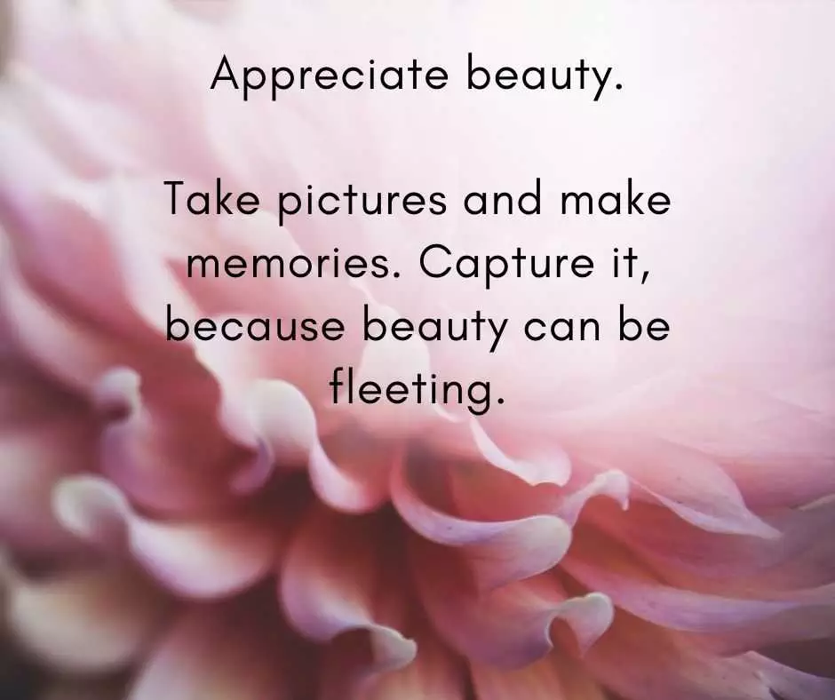 11 Life Lessons  Appreciate Beauty