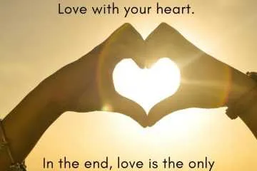 11 Life Lessons  Love