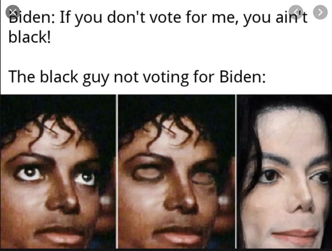 Biden Election Meme