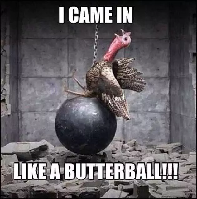 Thanksgiving Memes  Butterball