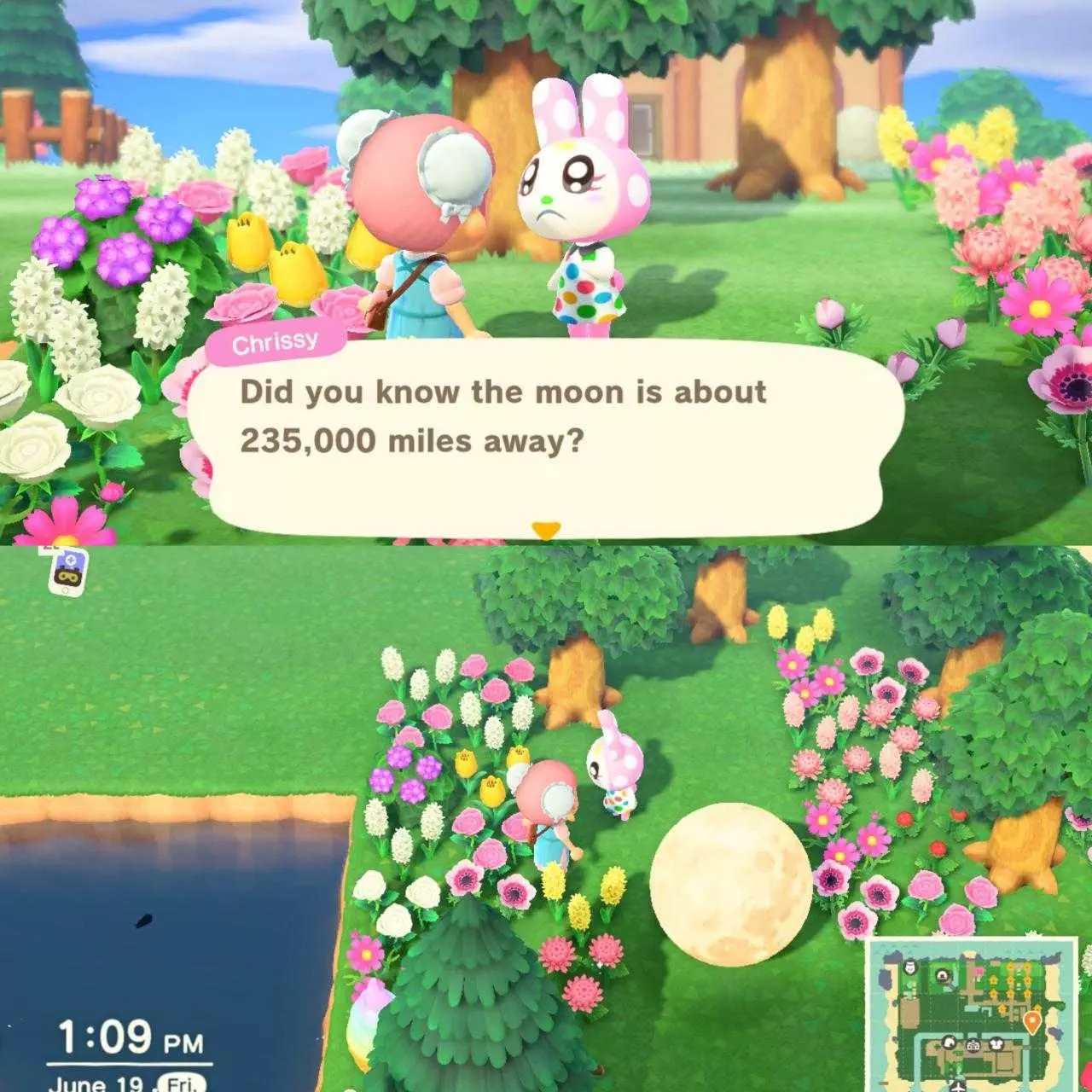 Funny Animal Crossing Meme  Moon Too Close