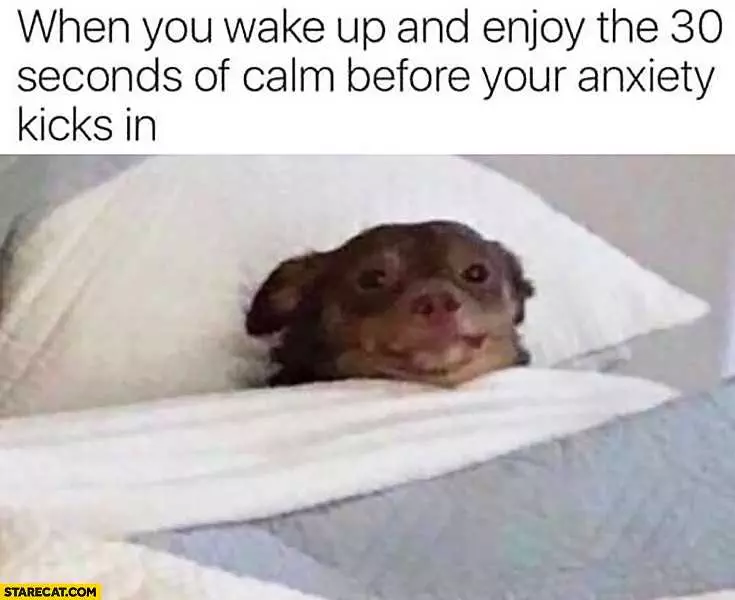 Hilarious Anxiety Memes  All 30 Seconds