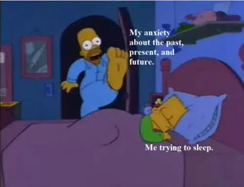 Funny Anxiety Memes  Sleep Disturber
