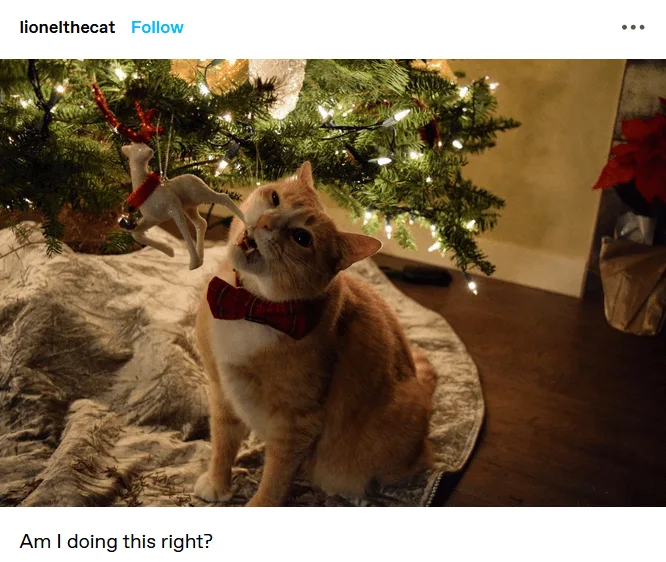 Cat Ornament Funny Christmas Fail Cat Tooth Pick