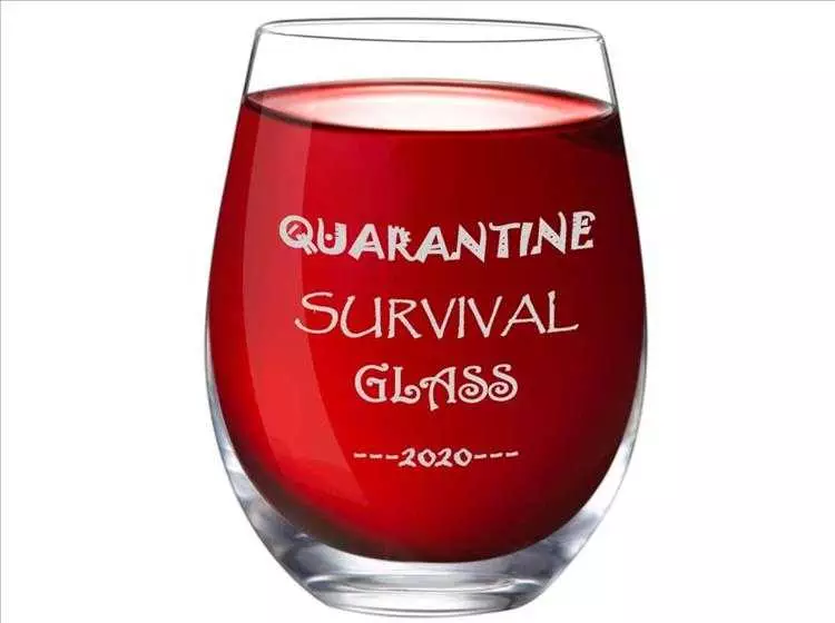 Christmas Joke Gifts  Quarantine Survival Glass Clear