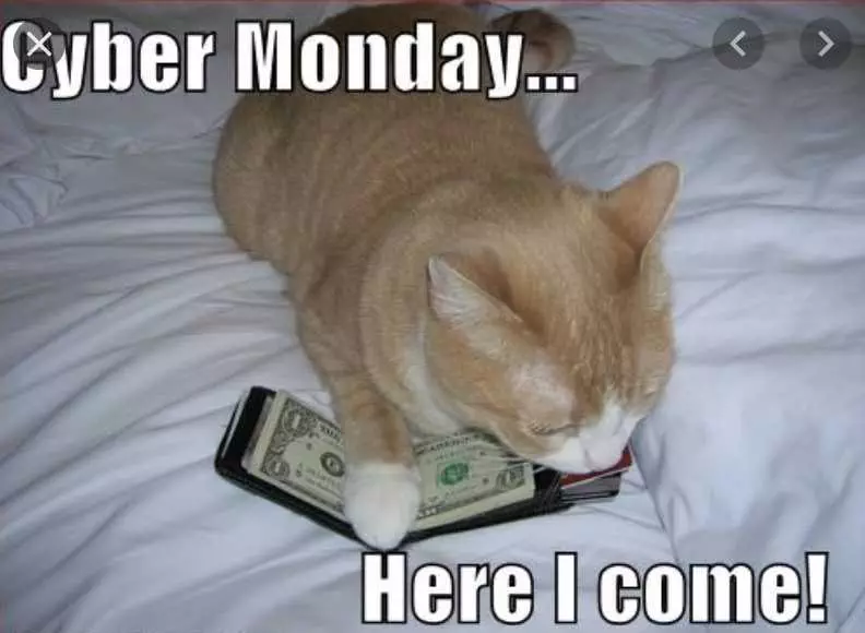 Cyber Monday Animal Meme  Here I Come