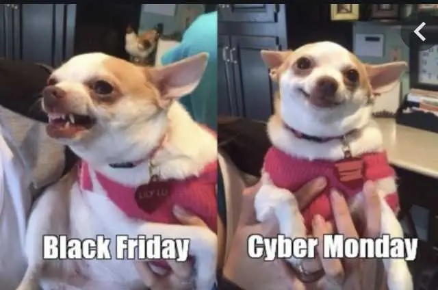 Cyber-Monday-Animal-Memes-11 Cyber Monday Animal Meme Happy About Deals