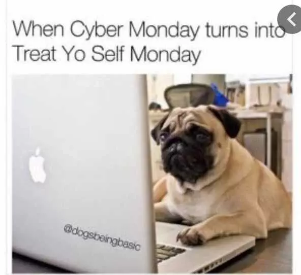 Cyber Monday Animal Meme  Treat Yourself