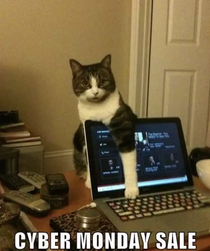 Cyber Monday Animal Memes  Cat Ad Blocker