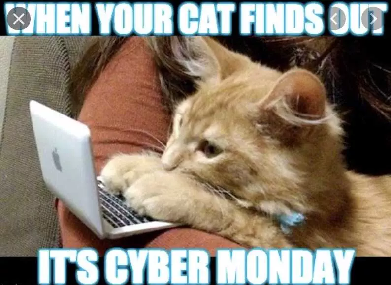 Cyber Monday Animal Meme  Buy Buy Buy
