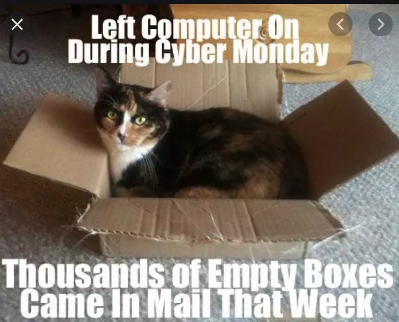 Cyber Monday Animal Meme  Heaven