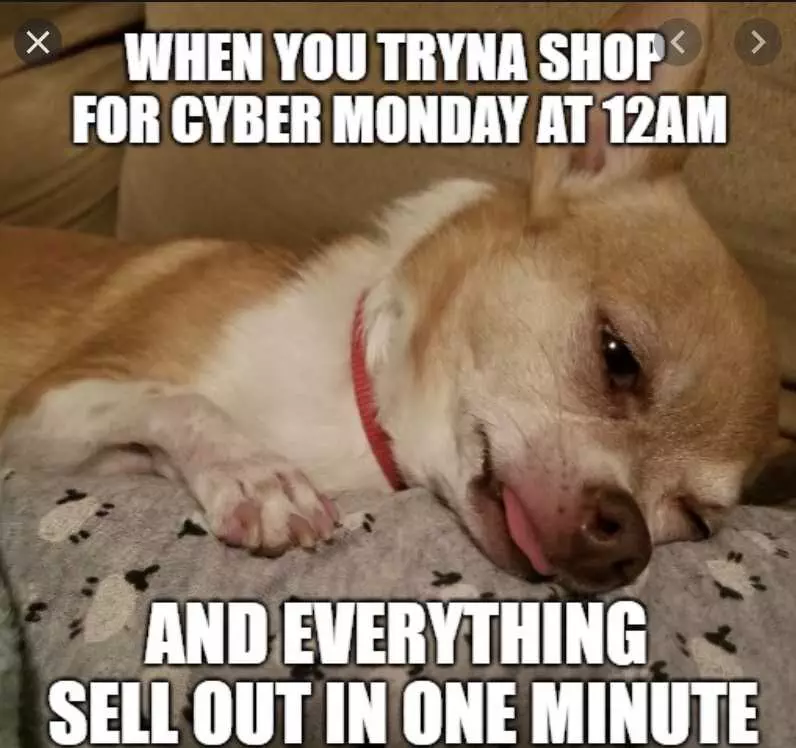 Cyber Monday Animal Meme  Must Shop
