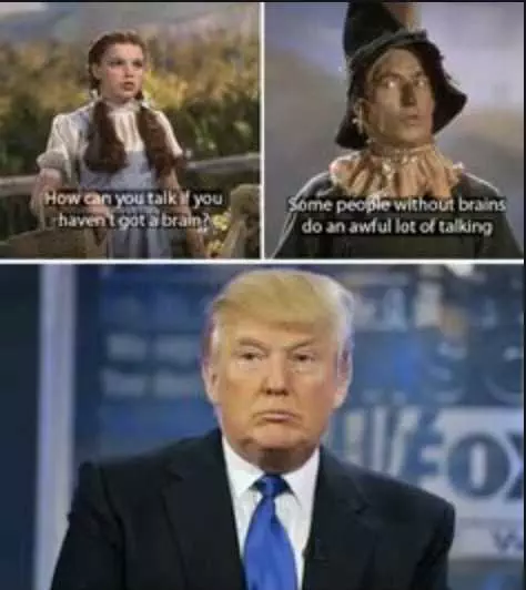 Election Memes  Wizard Of Oz