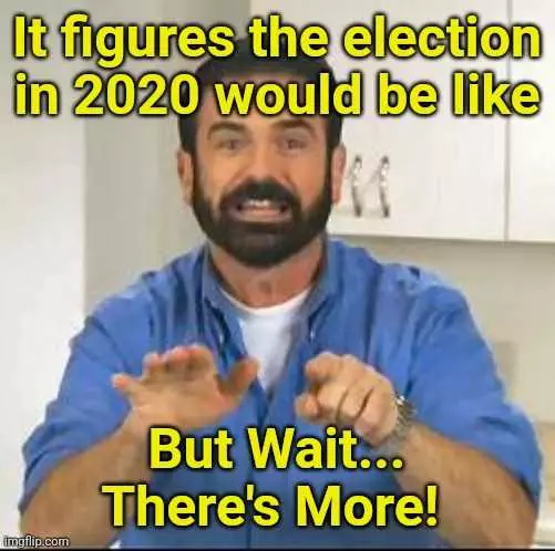 Funny Life Memes  Election 2020