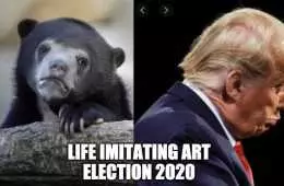Election Meme  2020 Election