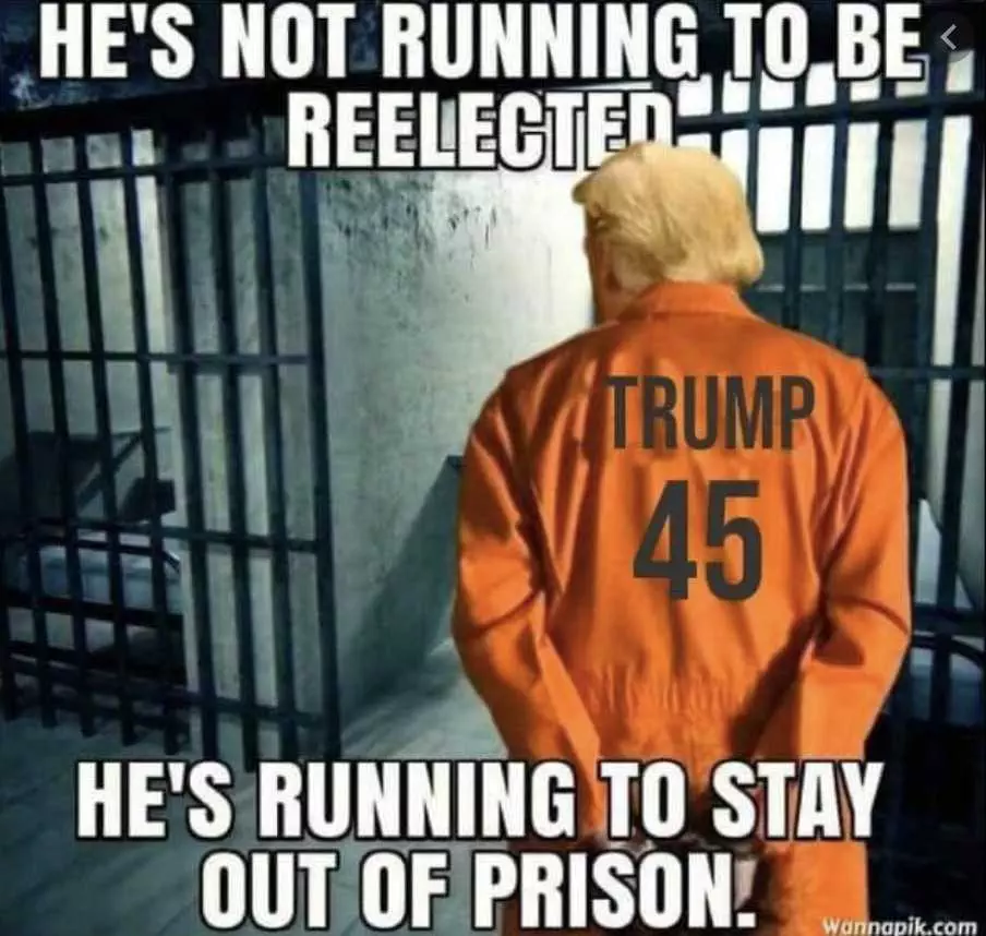 Election 2020 Meme  Staying Out Of Prison