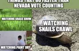 Nevada Vote Counting Meme 1  Things That Go Faster Than Nevada Vote Counting