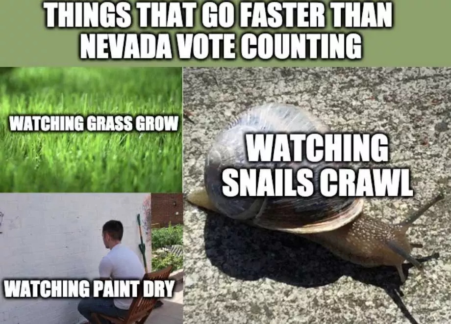 Nevada Vote Counting Meme 1  Things That Go Faster Than Nevada Vote Counting