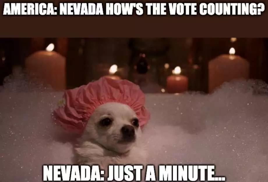Nevada Vote Counting Meme 10  Chiuaua Taking Bubble Bath