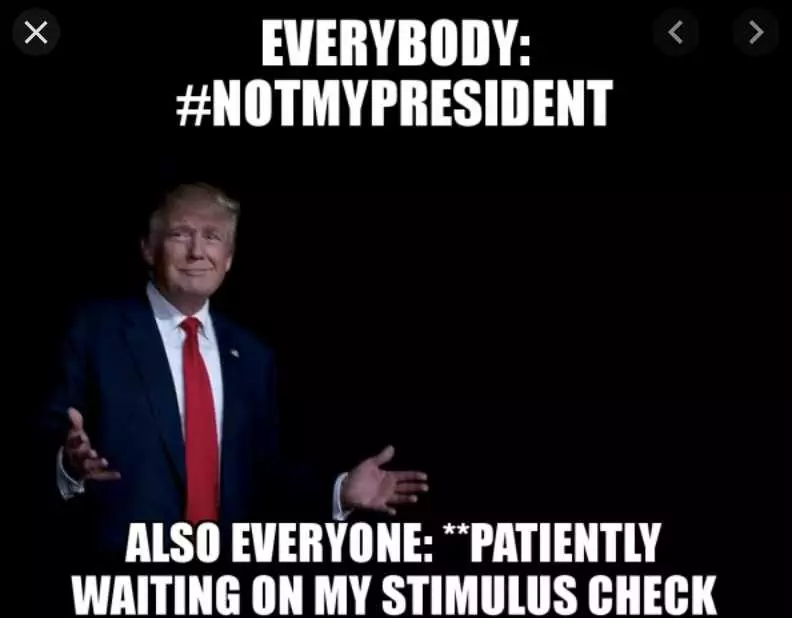 Not My President Memes  Stimulus Check 3
