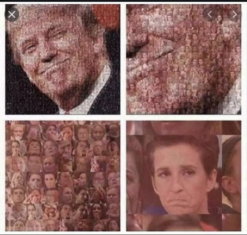 Not My President Memes  Made From Pictures Of Registered Democrats