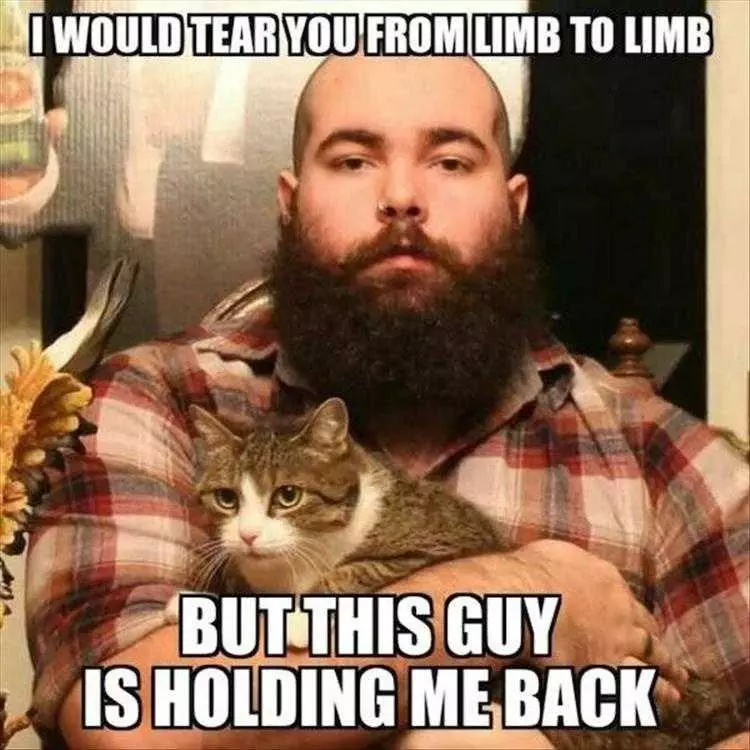 Animal Memes Funny  American Cat Fighter