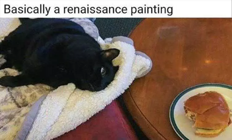 Funny Cat Meme Pic  Classic Art Meme In The Making