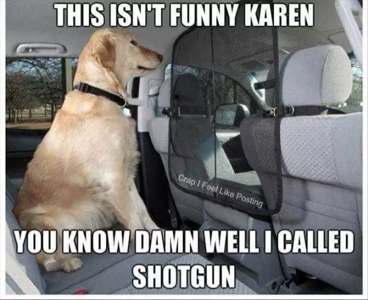Top 28 Funny Animal Memes Of The Day 5Fb293Dabb508