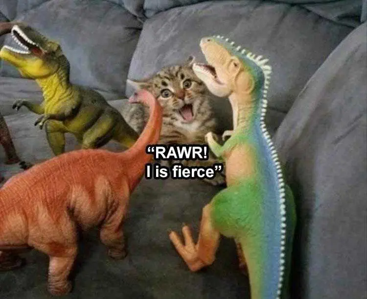 Funny Animal Captions Cat Vs Dinos