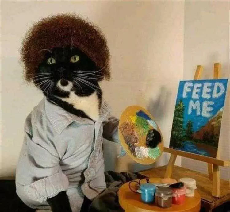 Top 36 Funny Animal Memes Of The Day 5Fc265D852672