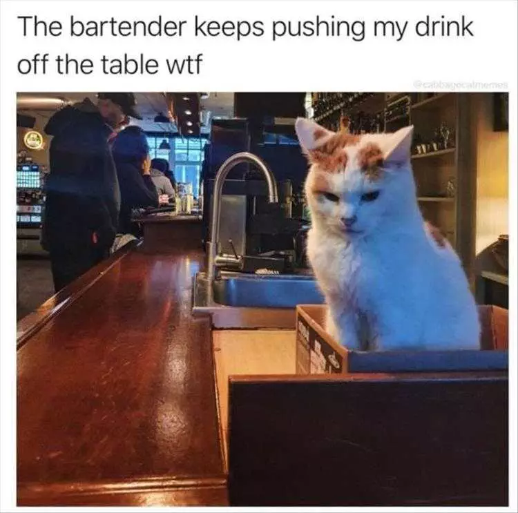 Top 36 Funny Animal Memes Of The Day 5Fc265E25B6C6