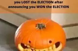 Trump Election Defeat Memes  Awkward