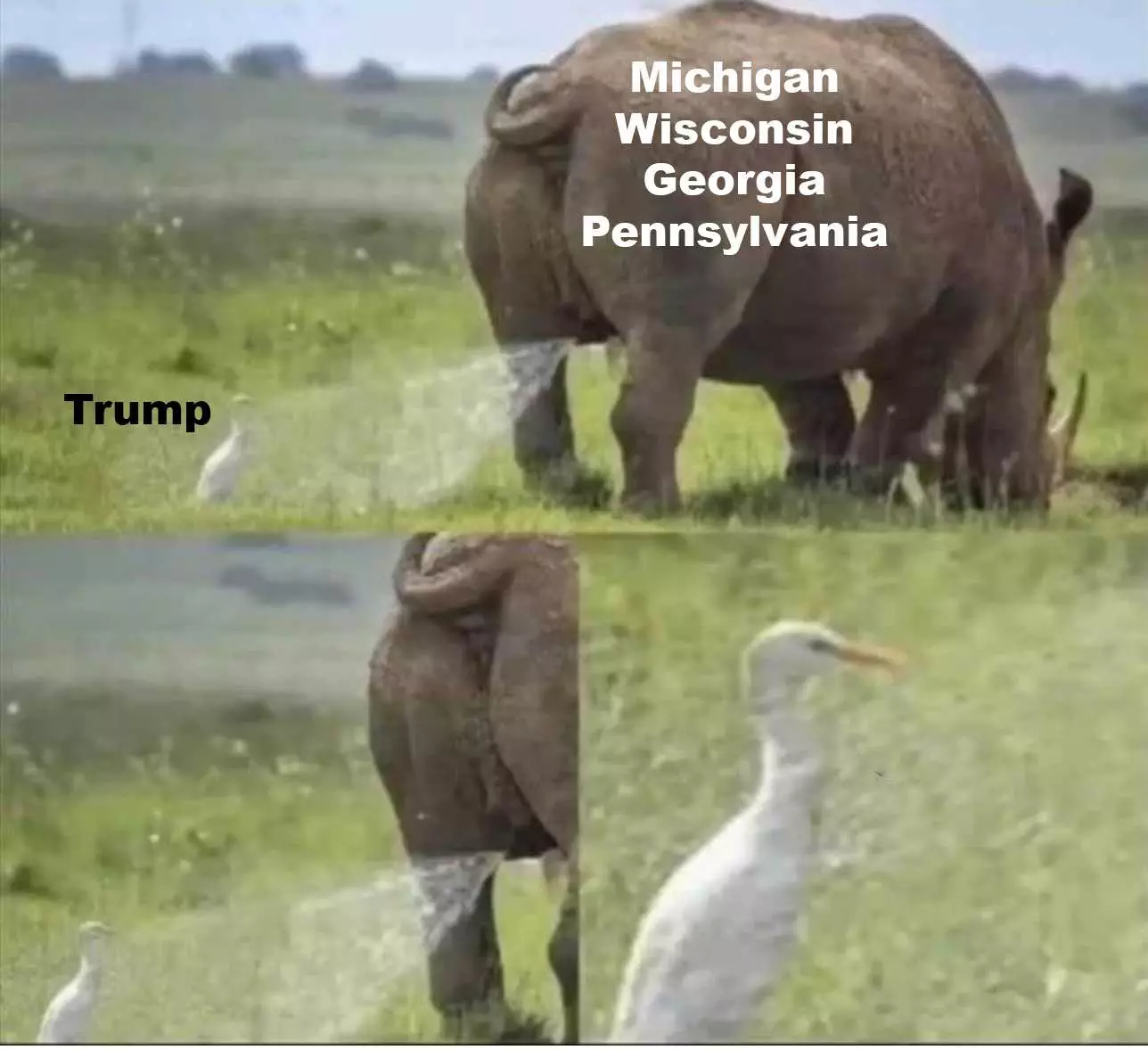 Trump-Election-Defeat-Meme-9 Trump Election Defeat Memes Mi Wi Pa Ga