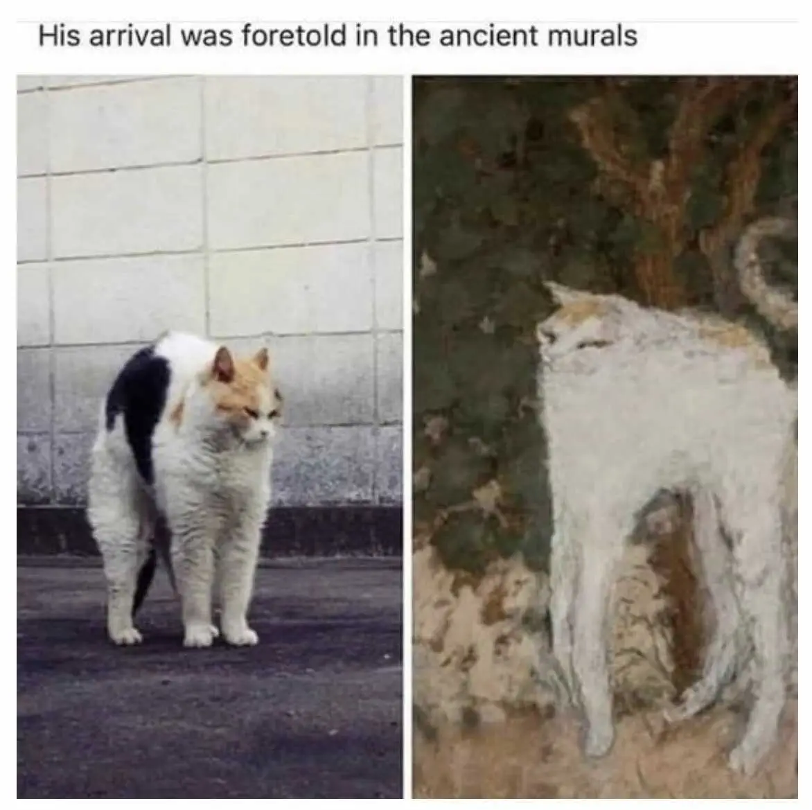 Tumblr_094Ddcc7885B11A1F06C9Ef6E79B03Be_081D6Abb_1280 Classic Art Memes Prophecy