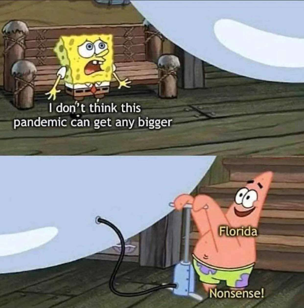Tumblr_5358De7613Ded68D54148Ff1Cb658199_4Ef976F6_1280 Hilarious Spongebob Memes Florida
