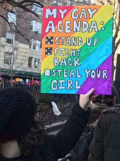 Funny Protest Signs  Gay Agenda