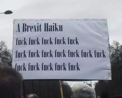 Funny Protest Sign Memes  Brexit Haiku