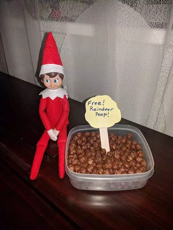 2020 Elf On The Shelf  Reindeer Poop For Free