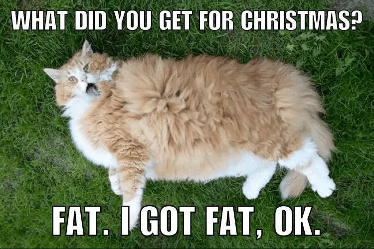 Funny Christmas Memes  Indulgence