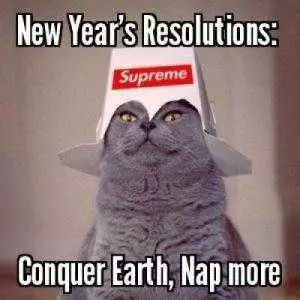 Funny New Years Resolution Memes  Conquering Earth