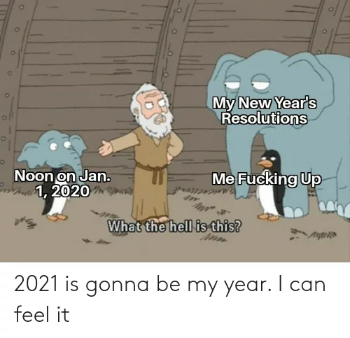 Funny New Years Resolution Meme  2021