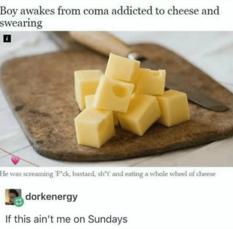 Cheese Memes  Cheese Cured Coma