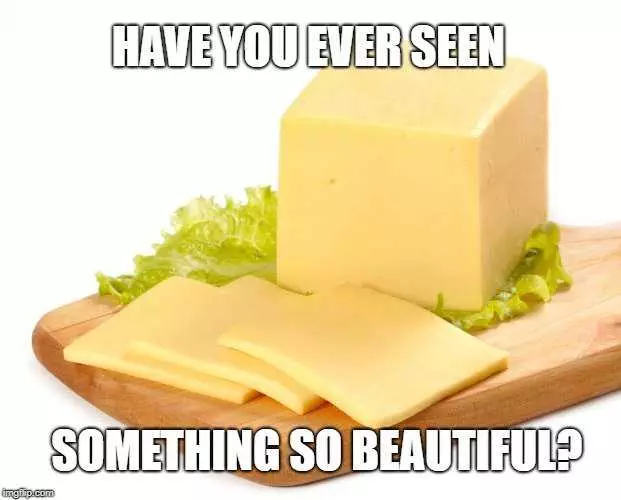 Funny Cheese Meme  Beauty
