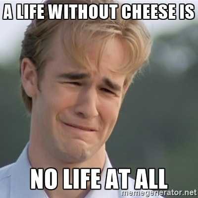 Funny Cheese Memes  Life Without Cheese